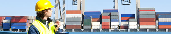 Pre Shipment Inspection & Loading banner